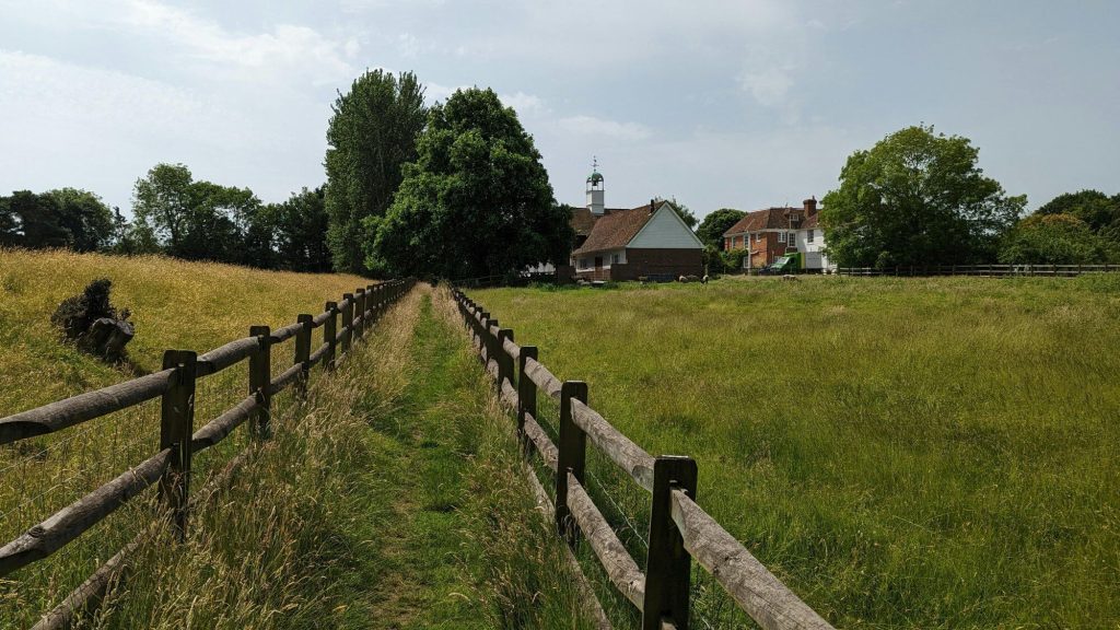 Natural walking path through open fields promoting wellness and calm