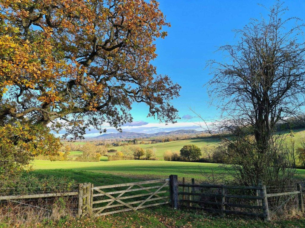 Open countryside view with trees and pathway for healing environment