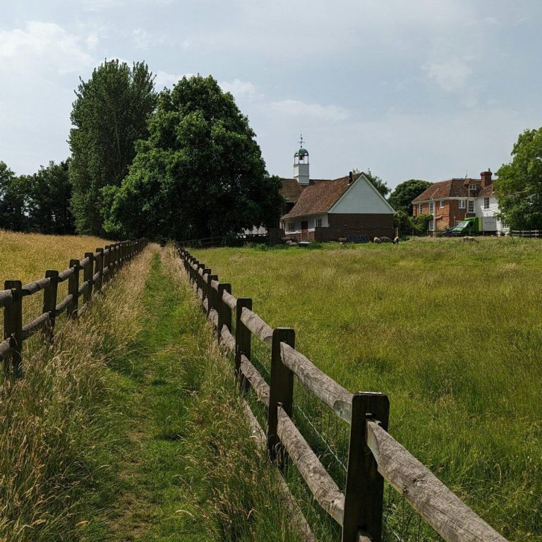Natural walking path through open fields promoting wellness and calm