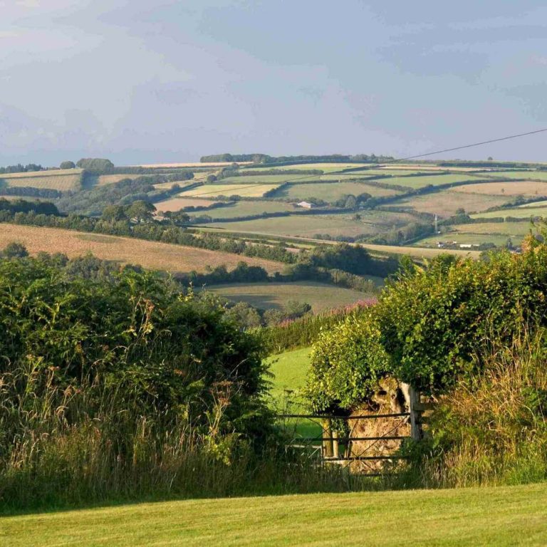 Beautiful rural landscape with green hills for healing environment